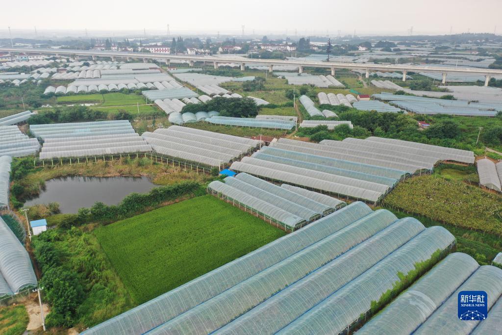 捕鱼游戏在线玩网页版